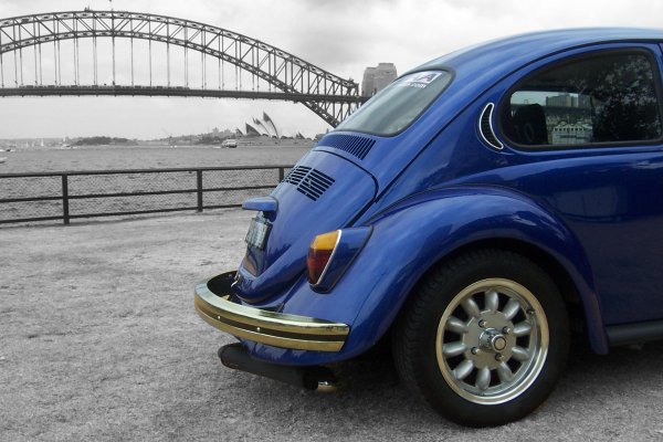 Hum-Bug on the Northern Beaches